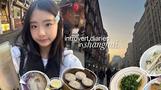 fall days of an introvert wandering shanghai